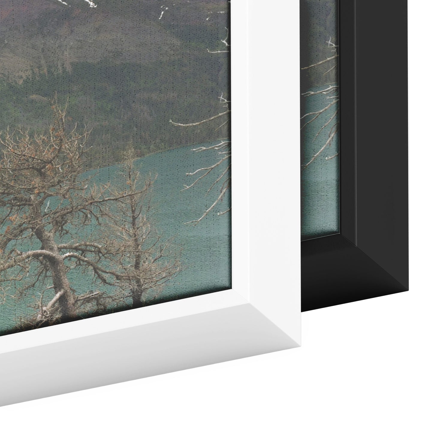 Glacier National Park Panoramic Framed Canvas