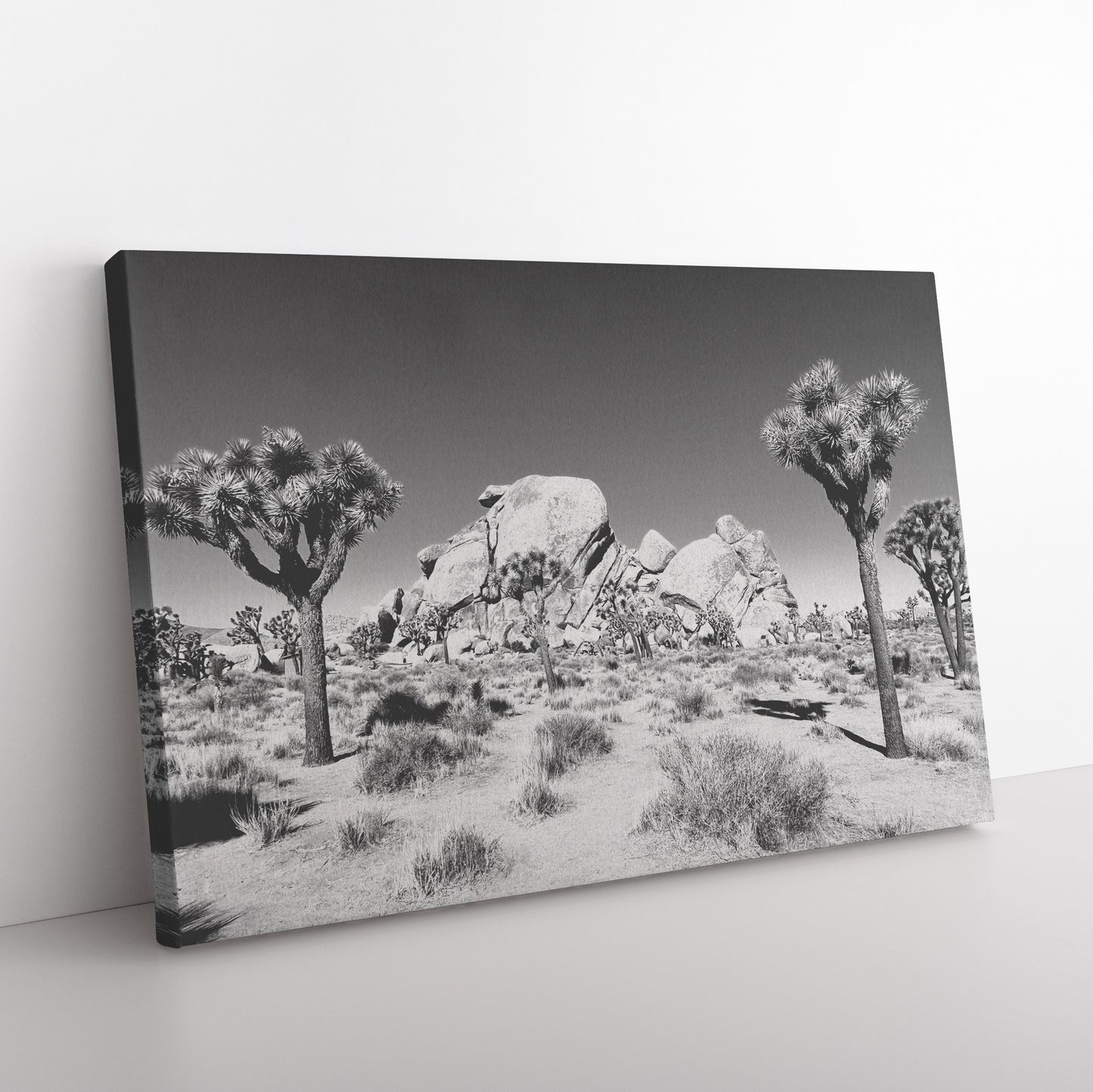 Joshua Tree Canvas Wrap