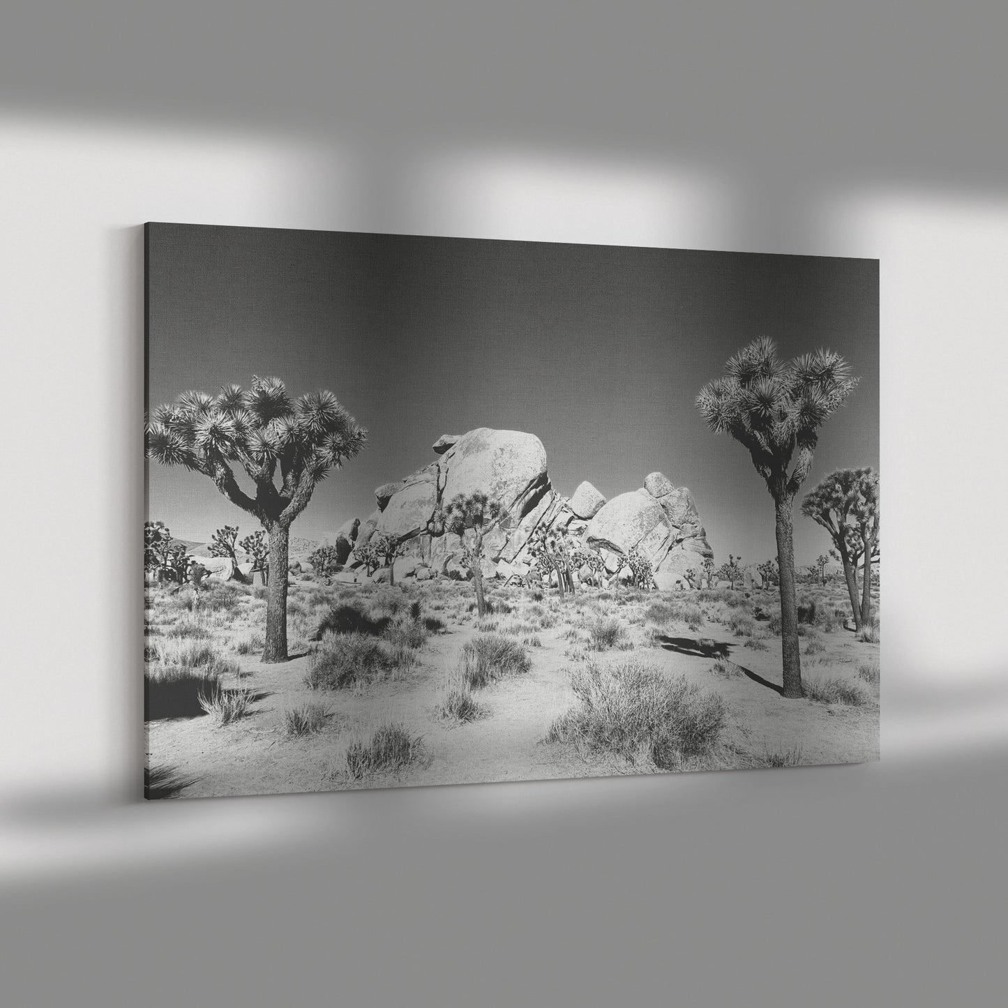 Joshua Tree Canvas Wrap