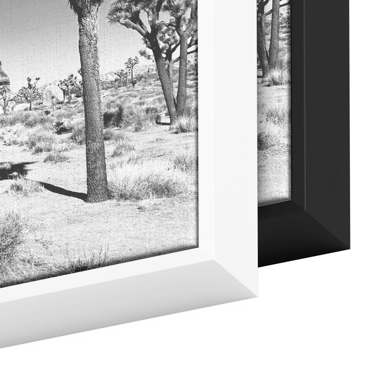Joshua Tree Framed Canvas