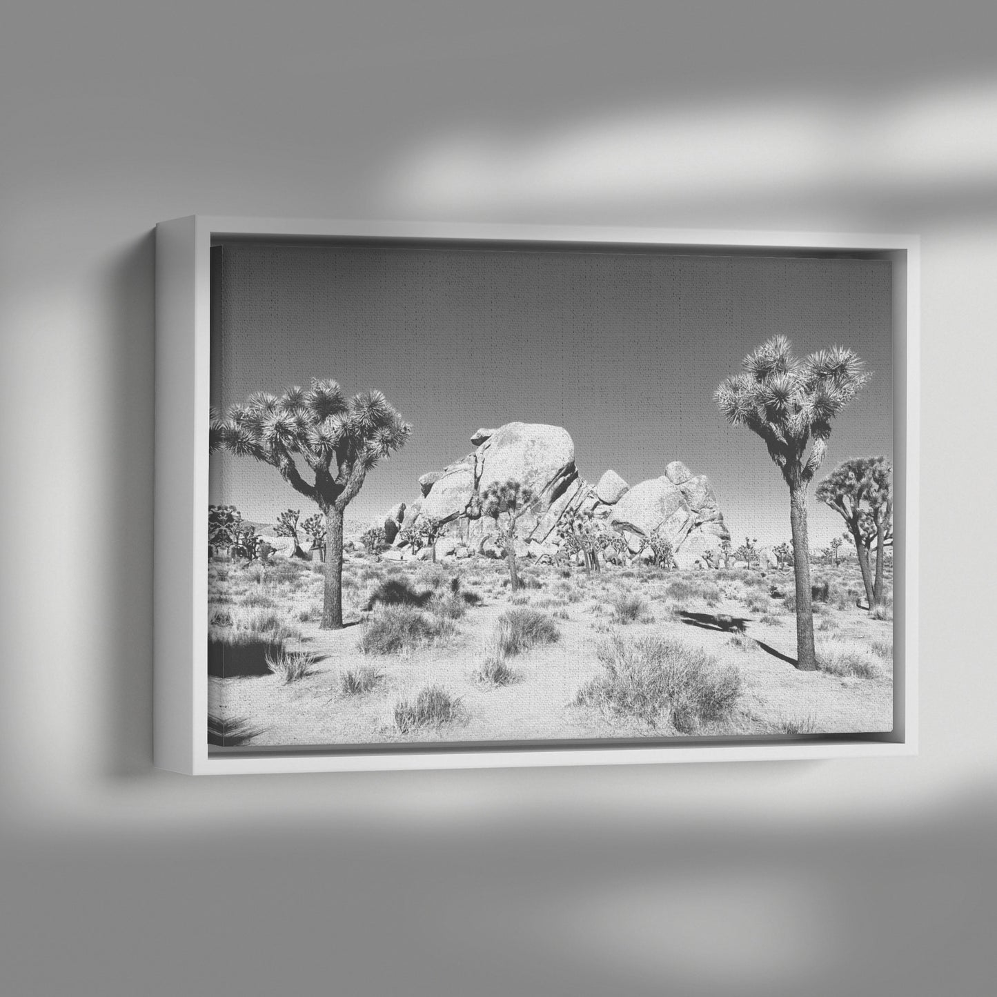 Joshua Tree Framed Canvas