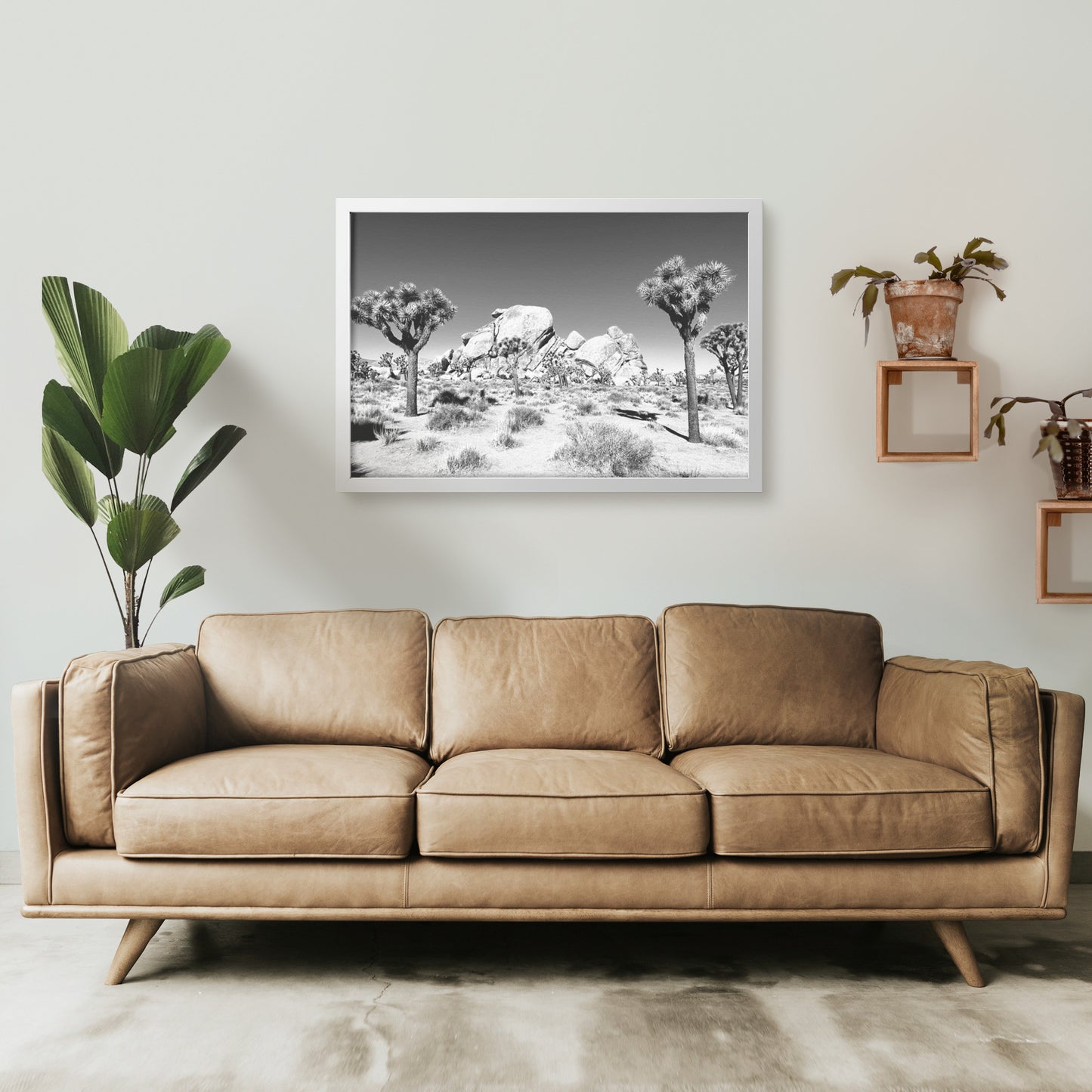Joshua Tree Framed Print