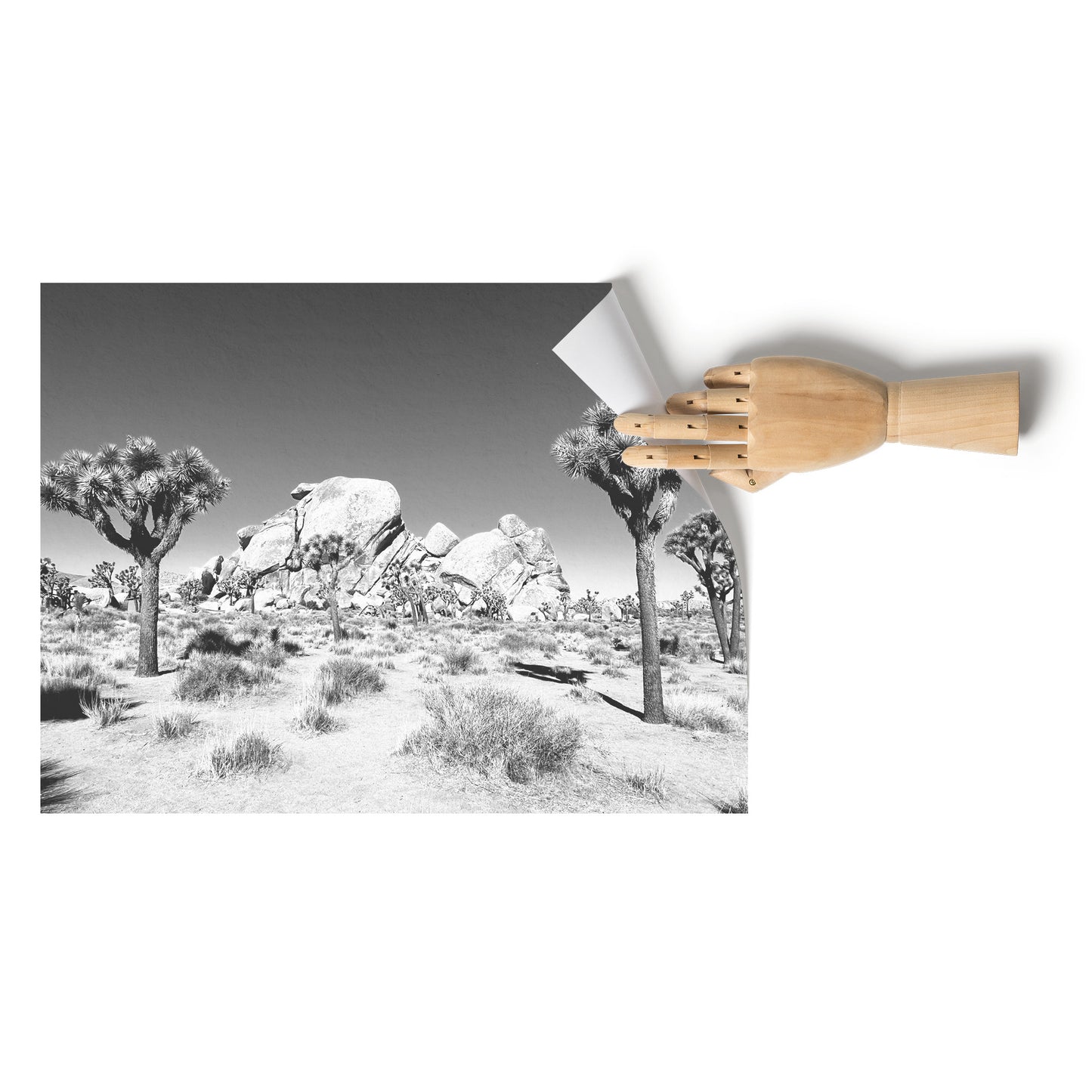 Joshua Tree Poster 18x24
