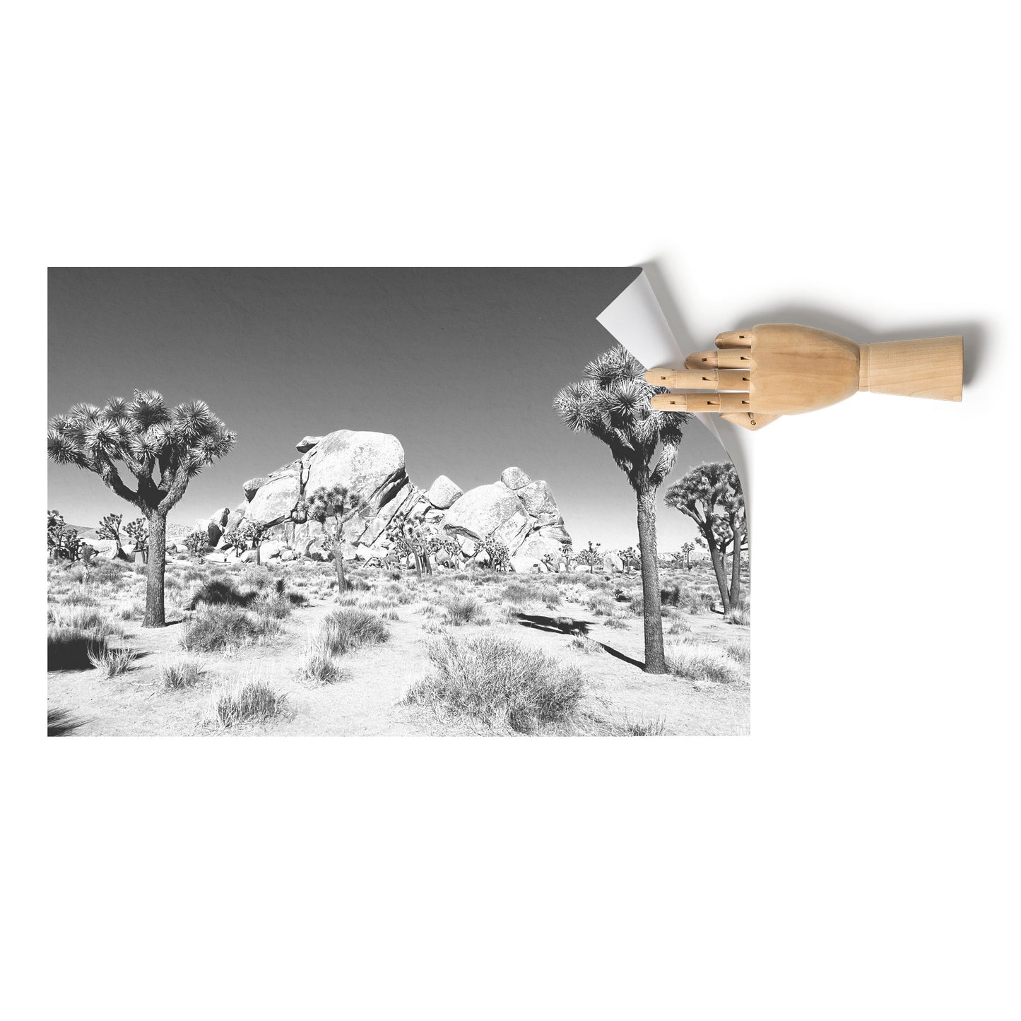 Joshua Tree Poster 24x36