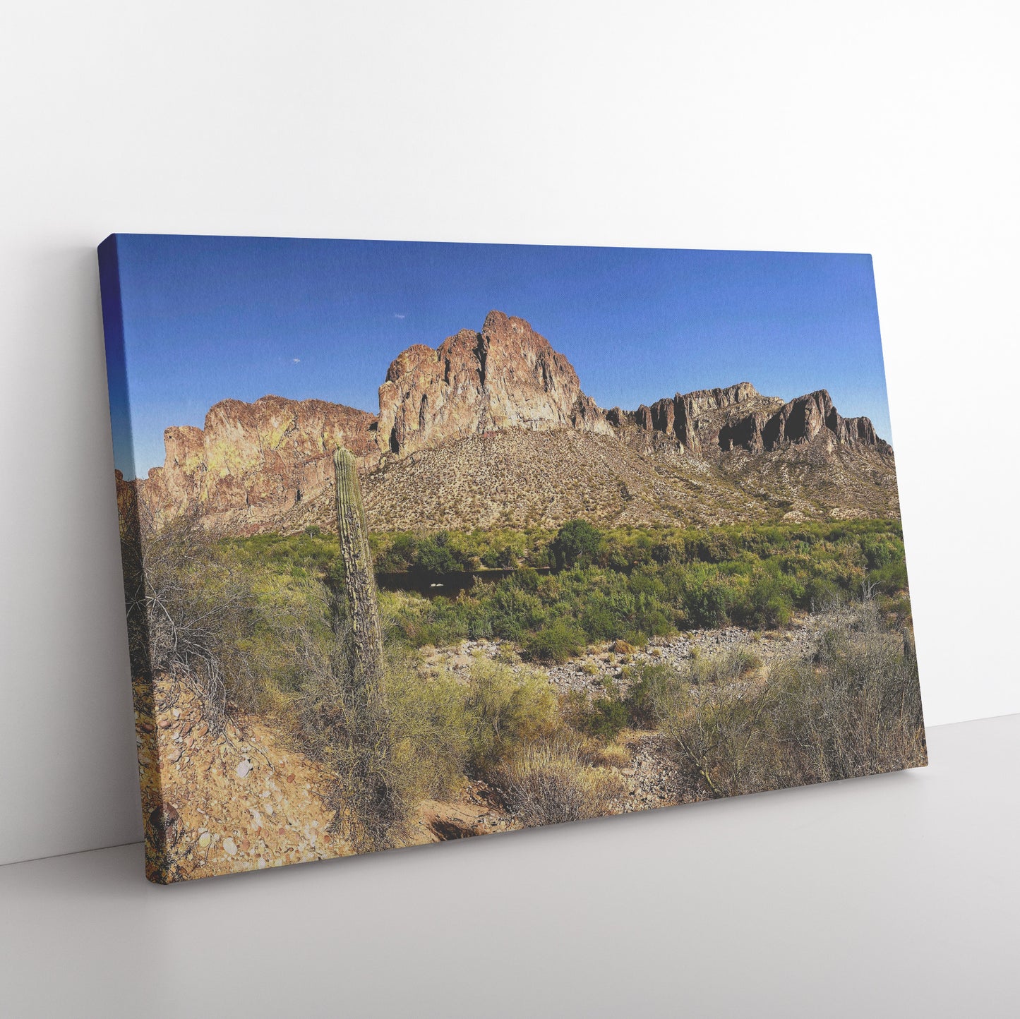 Phoenix Desert Canvas Wrap