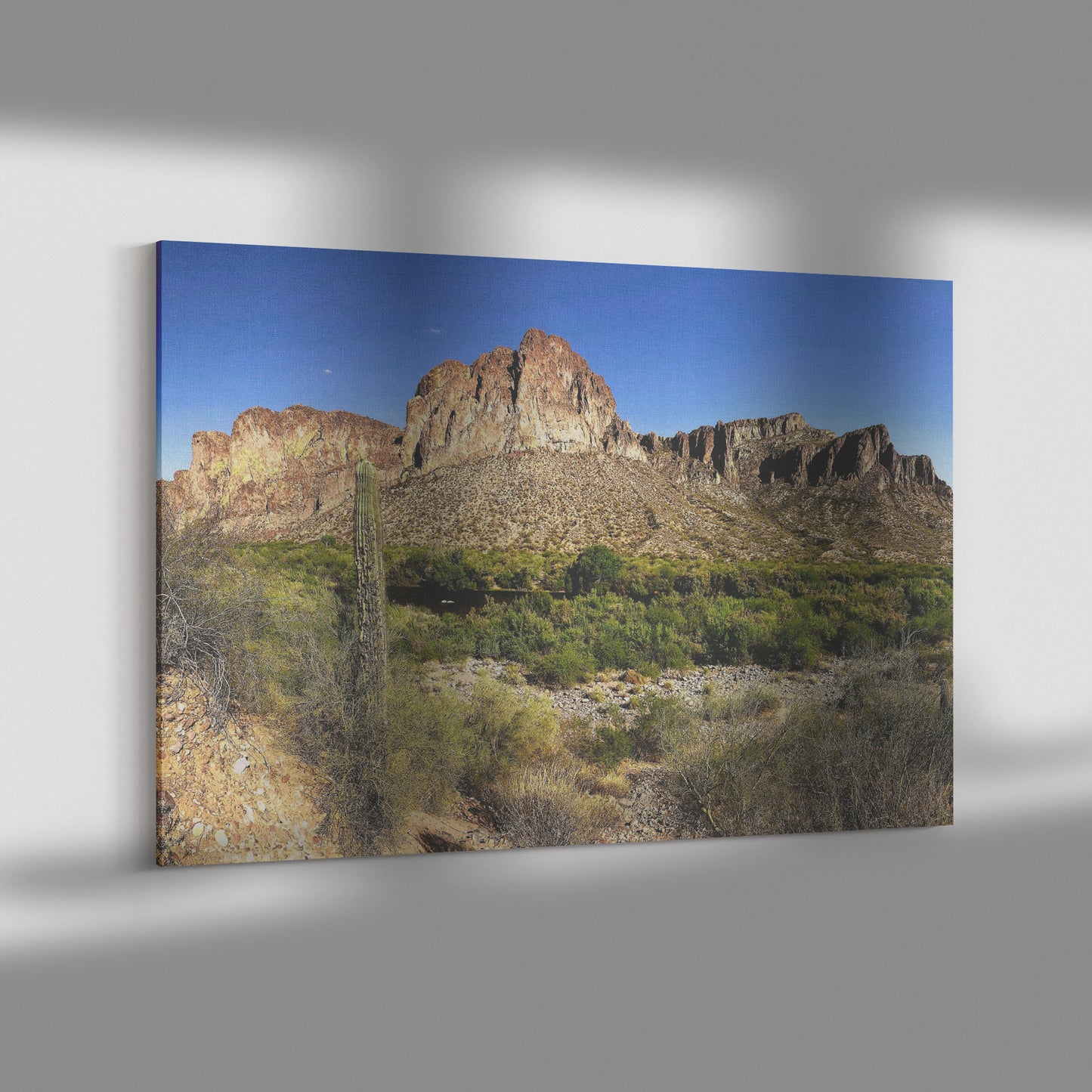 Phoenix Desert Canvas Wrap