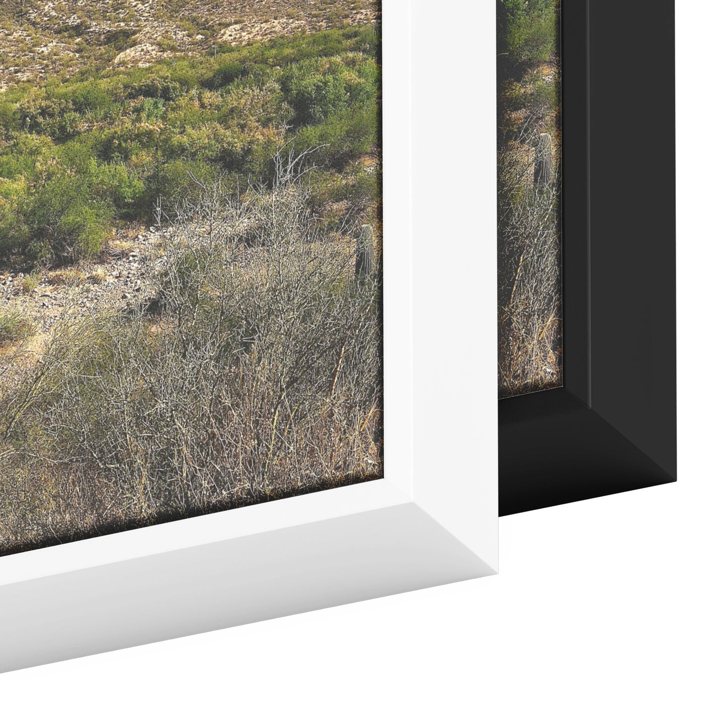 Phoenix Desert Framed Canvas