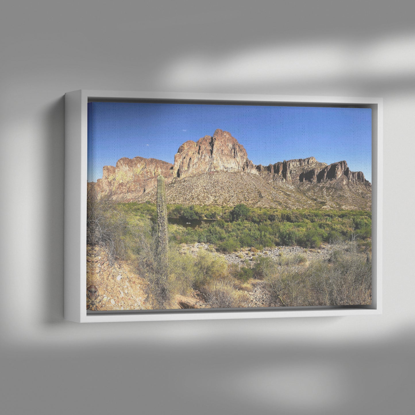 Phoenix Desert Framed Canvas