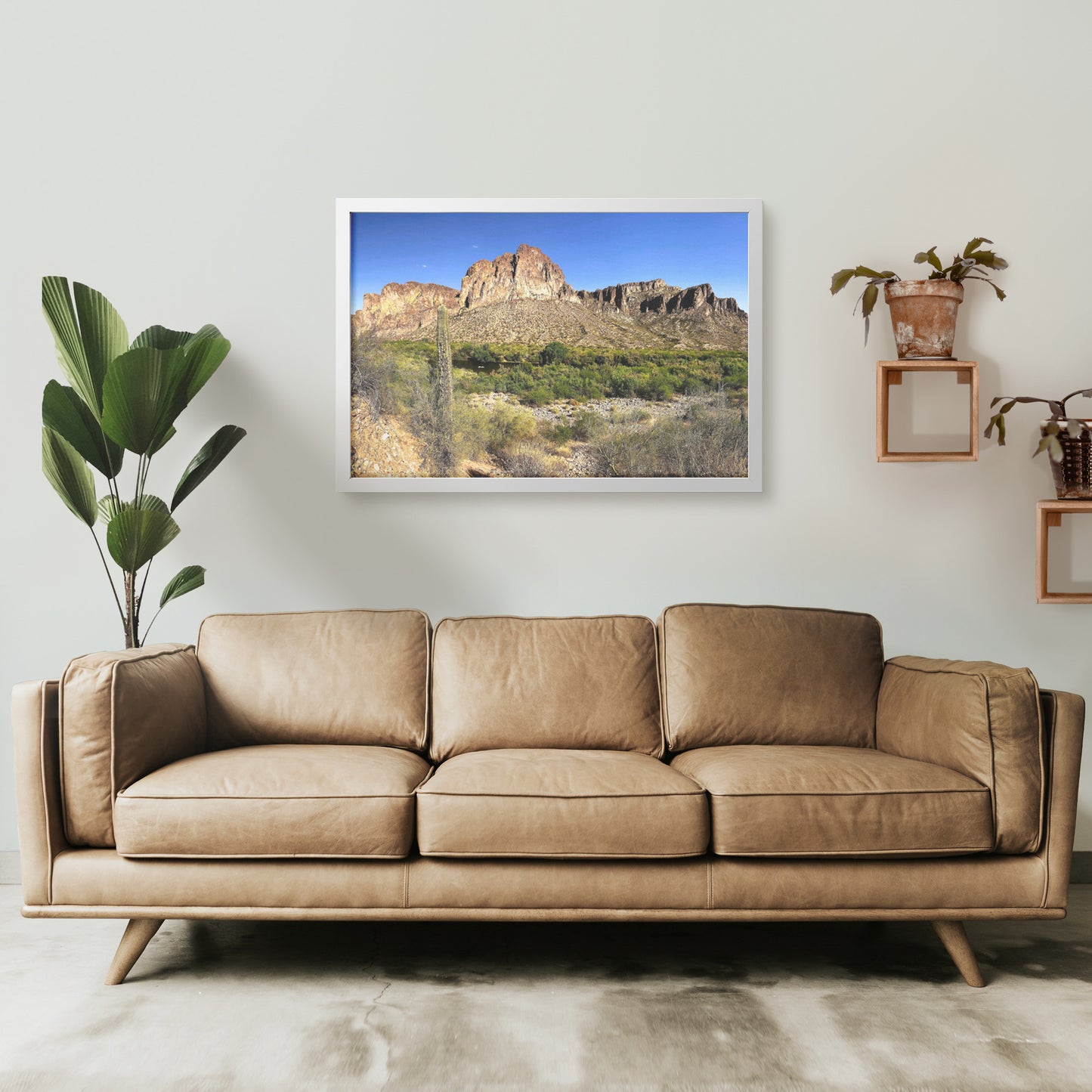 Phoenix Desert Framed Print