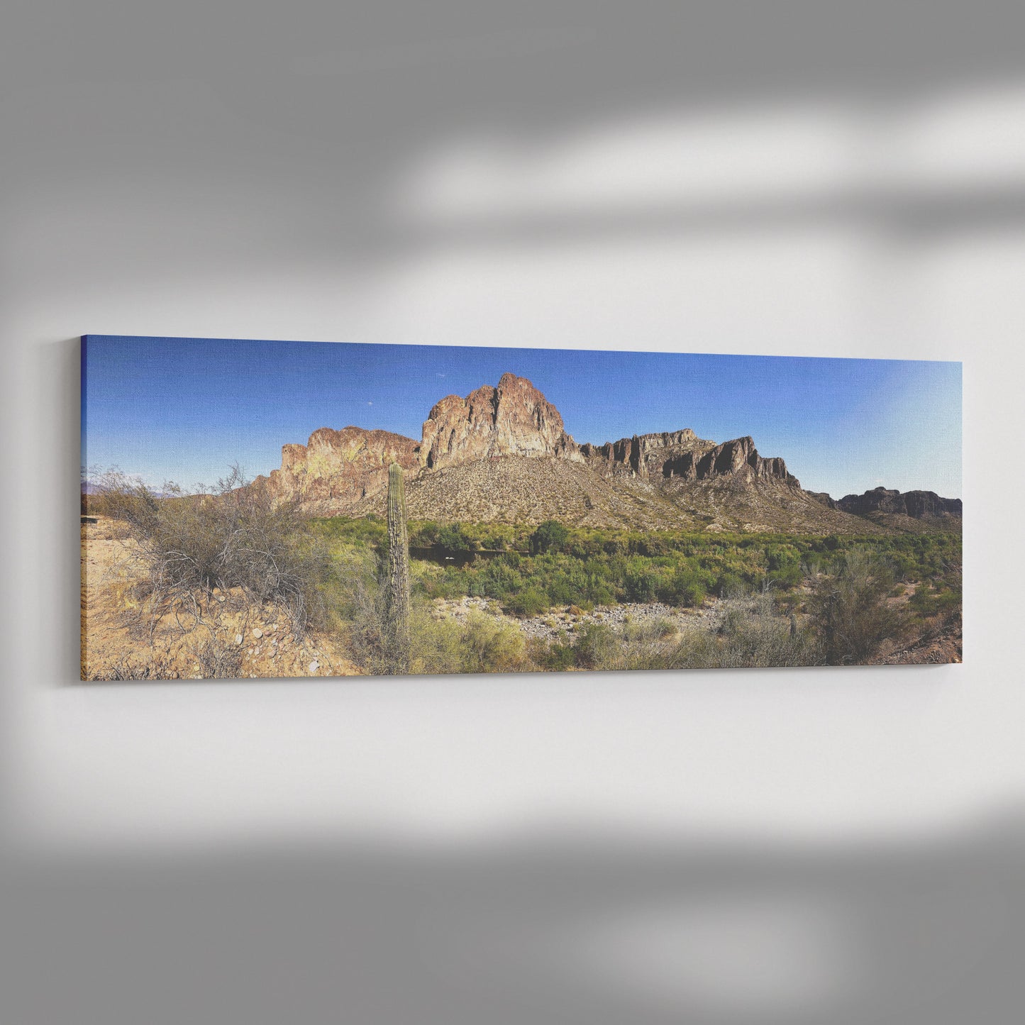 Phoenix Desert Panoramic Canvas Wrap