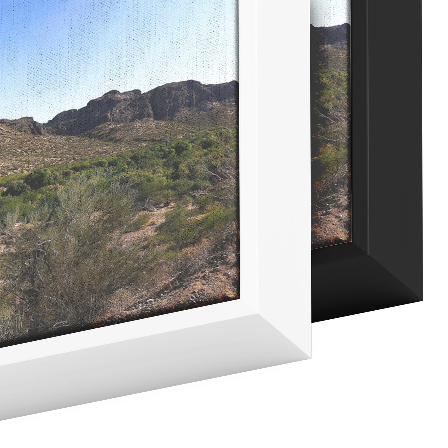 Phoenix Desert Panoramic Framed Canvas