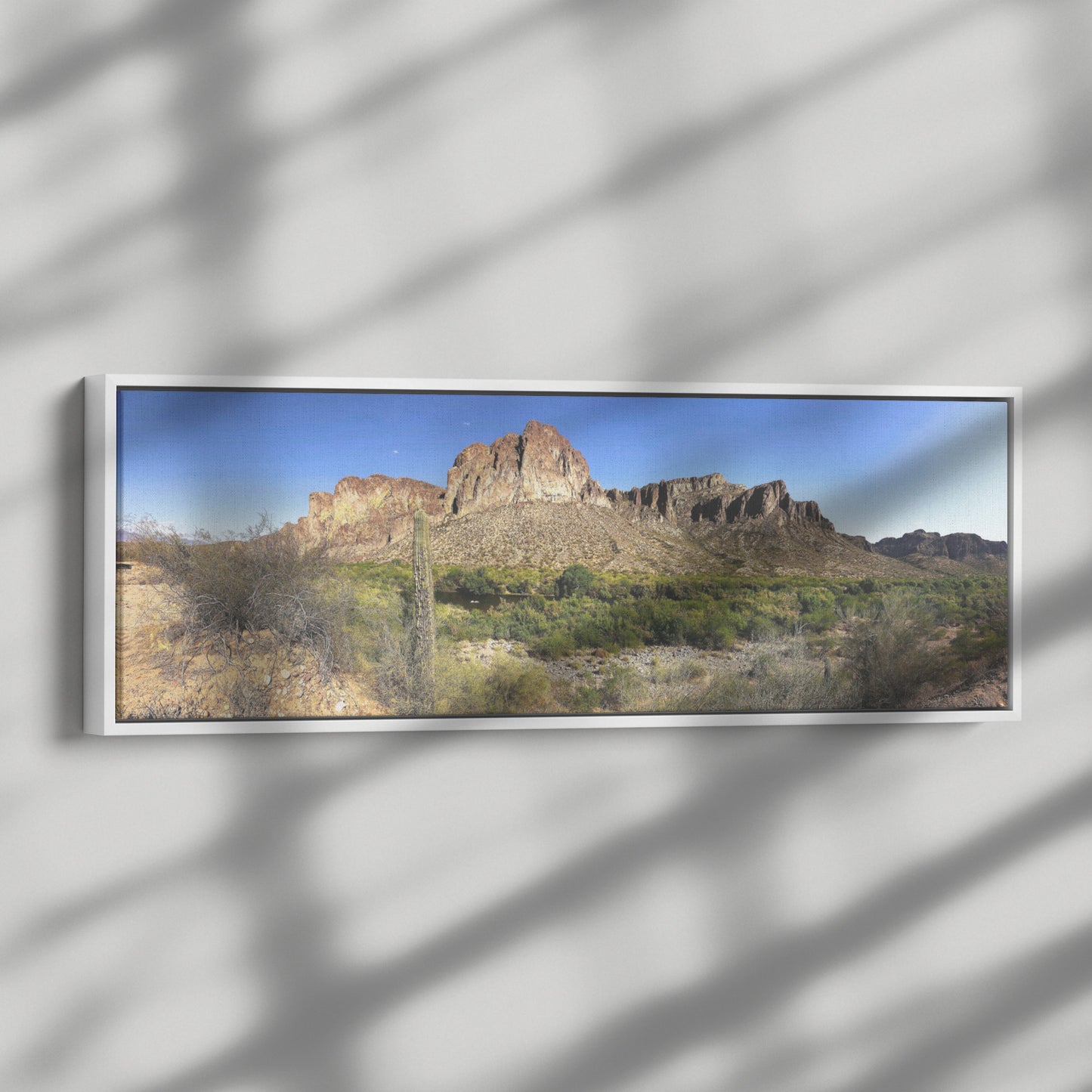 Phoenix Desert Panoramic Framed Canvas