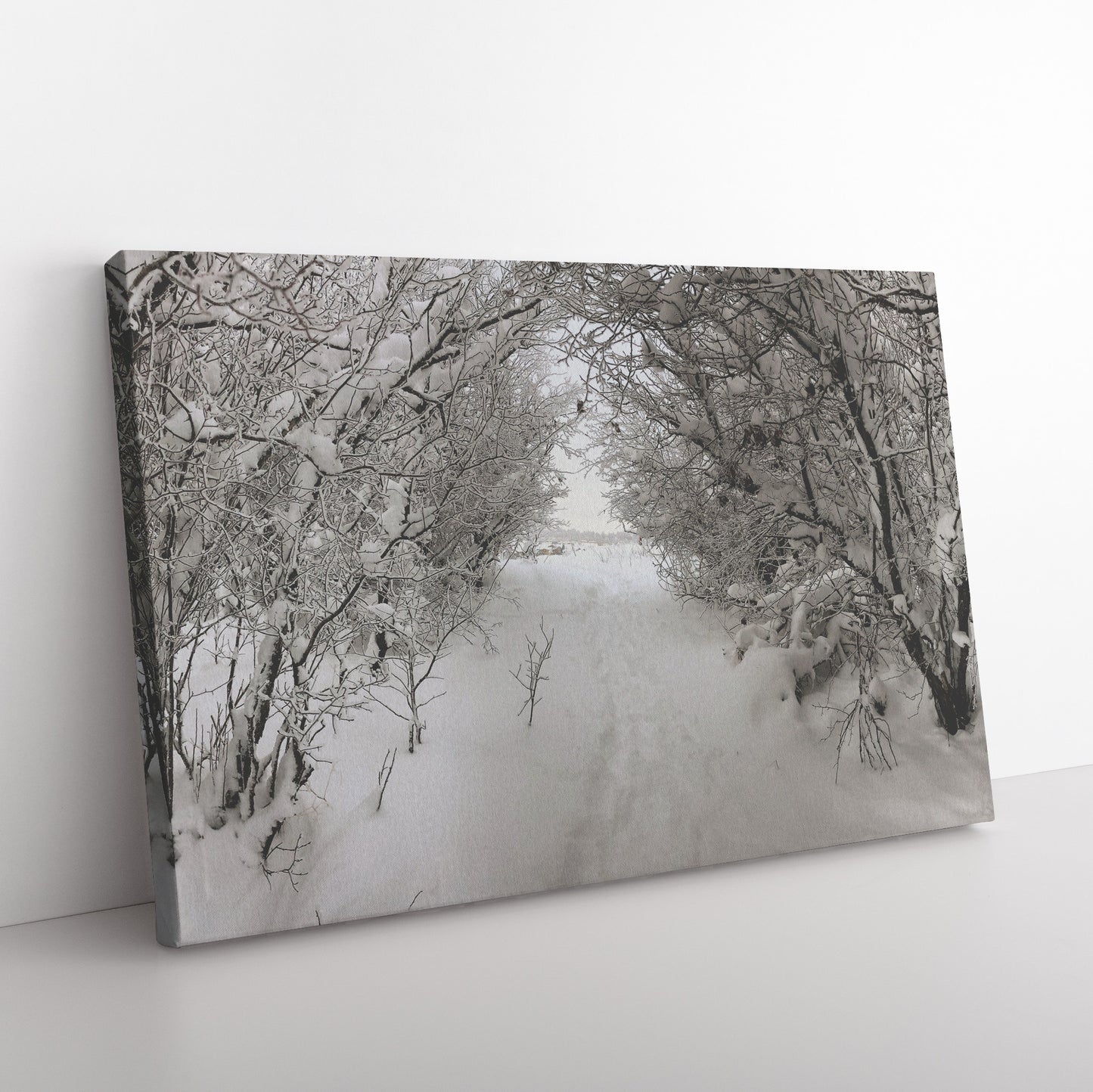Pullman Snow Canvas Wrap