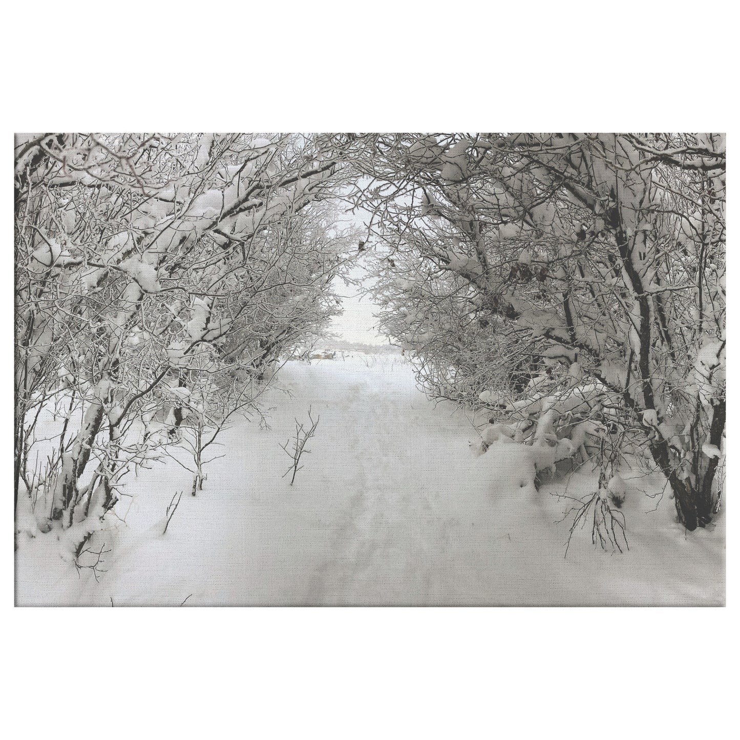 Pullman Snow Canvas Wrap
