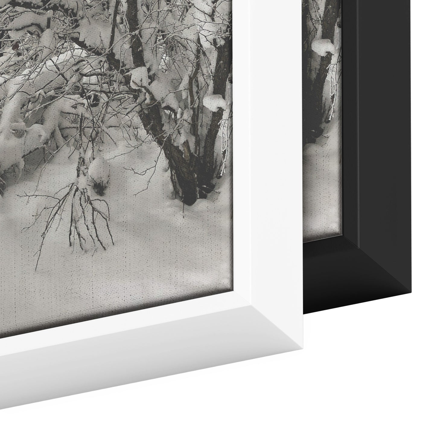 Pullman Snow Framed Canvas