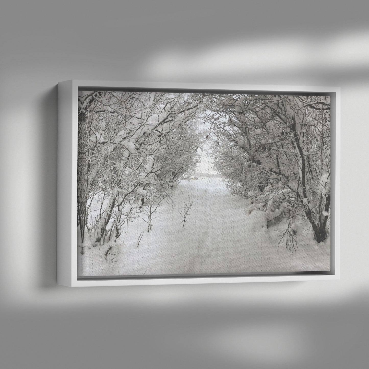 Pullman Snow Framed Canvas