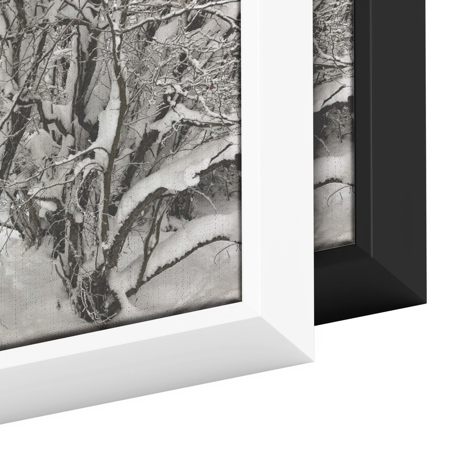 Pullman Snow Panoramic Framed Canvas