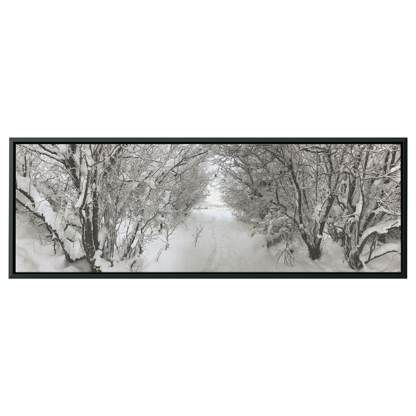Pullman Snow Panoramic Framed Canvas
