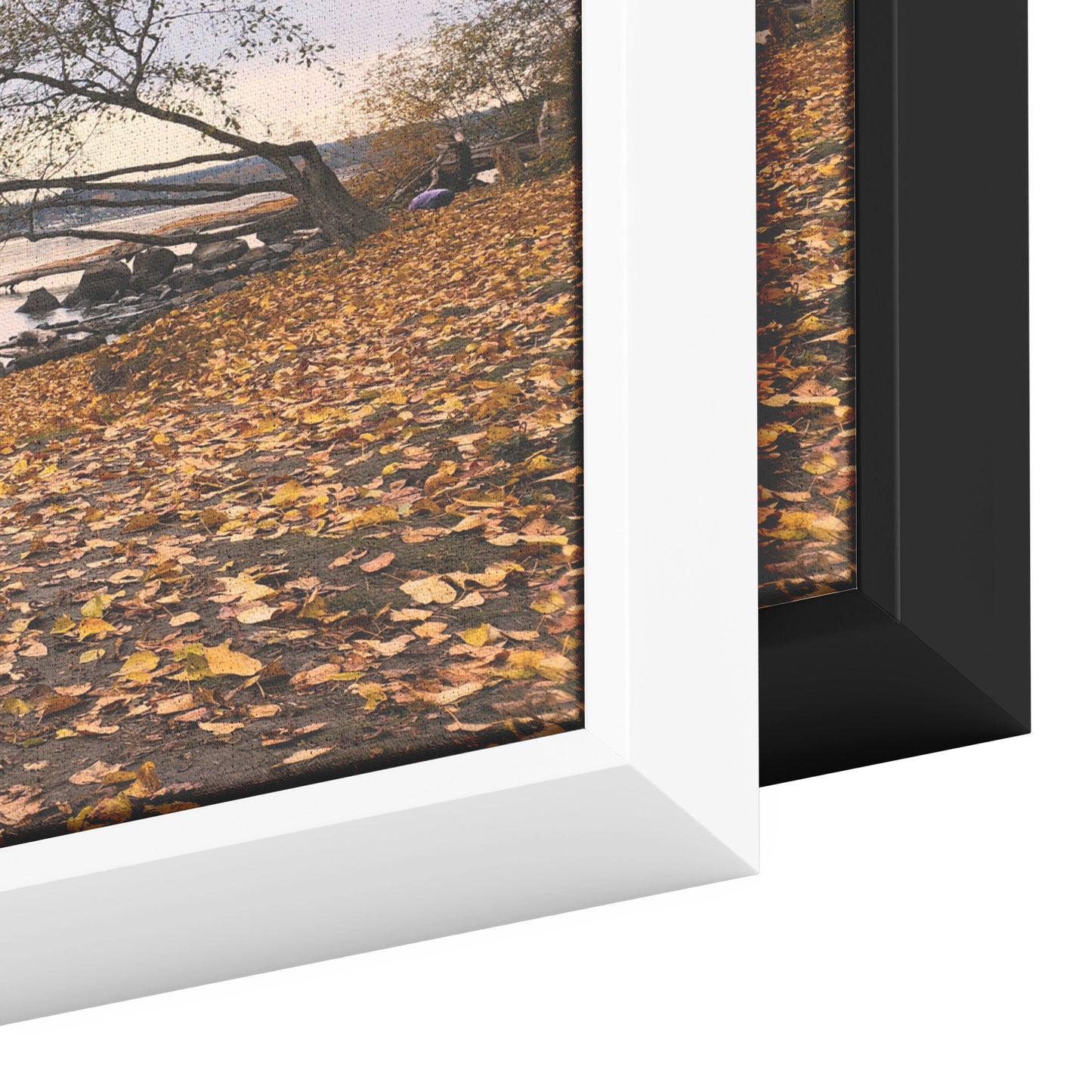 St. Edwards Beach Framed Canvas