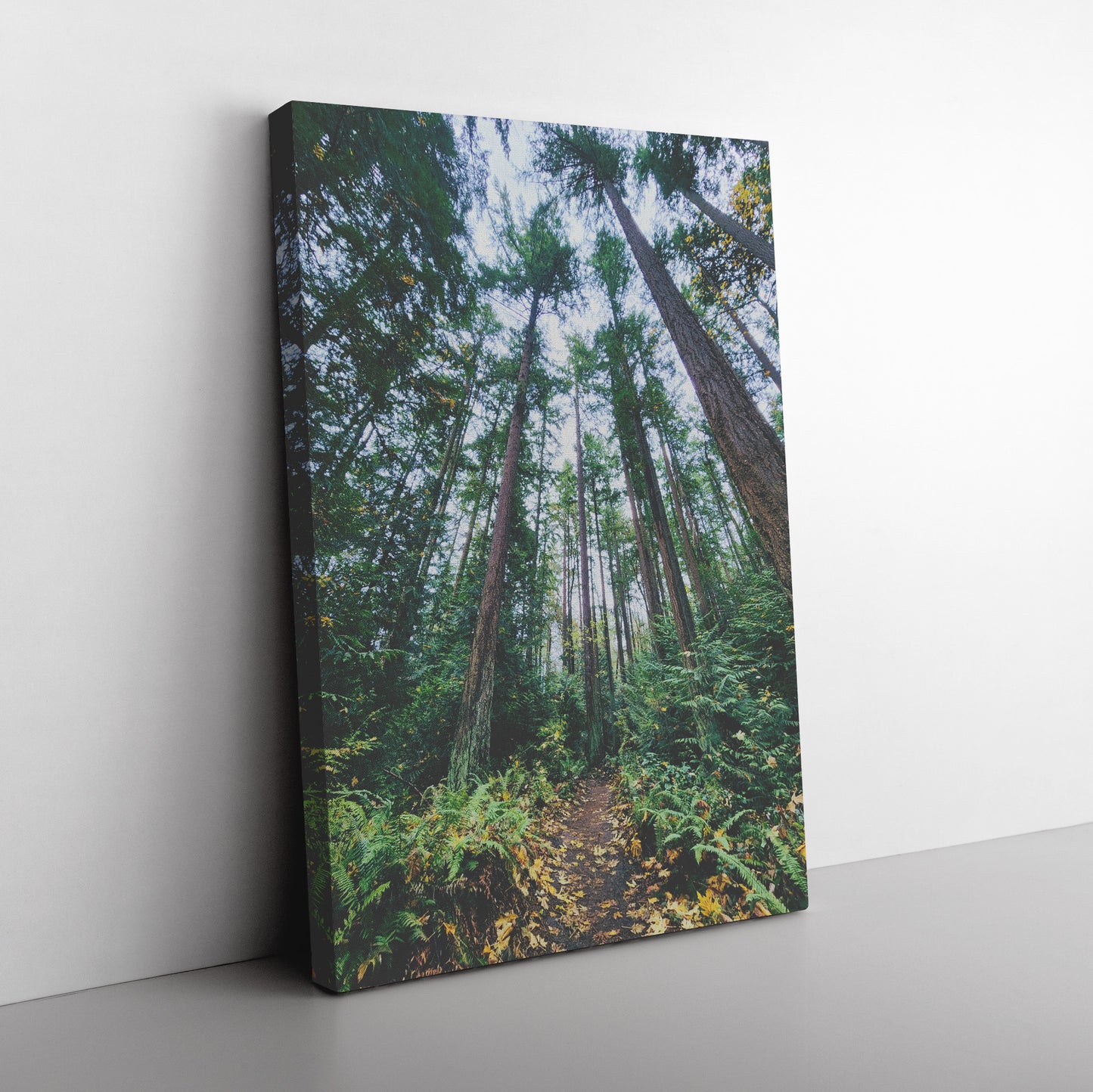 St. Edwards Trail Canvas Wrap