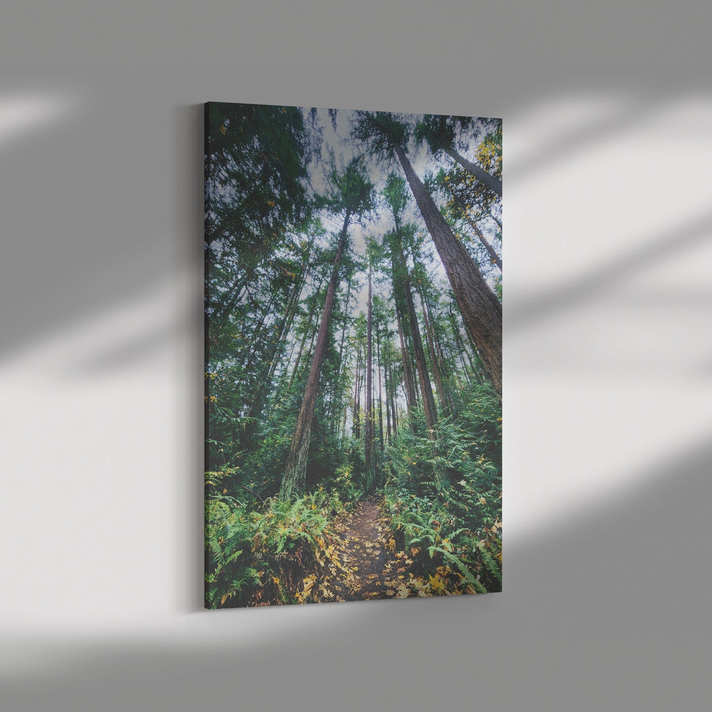 St. Edwards Trail Canvas Wrap