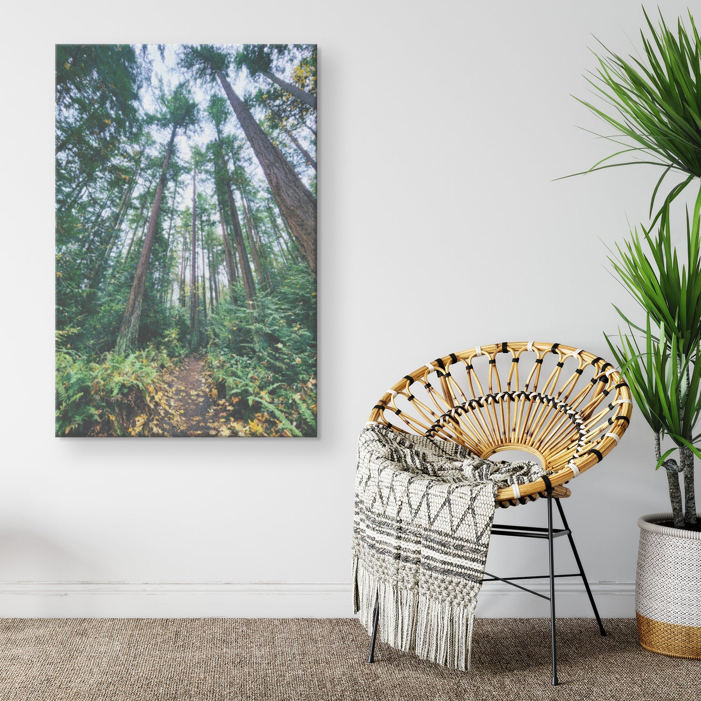 St. Edwards Trail Canvas Wrap