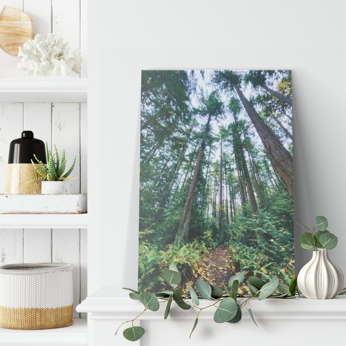 St. Edwards Trail Canvas Wrap