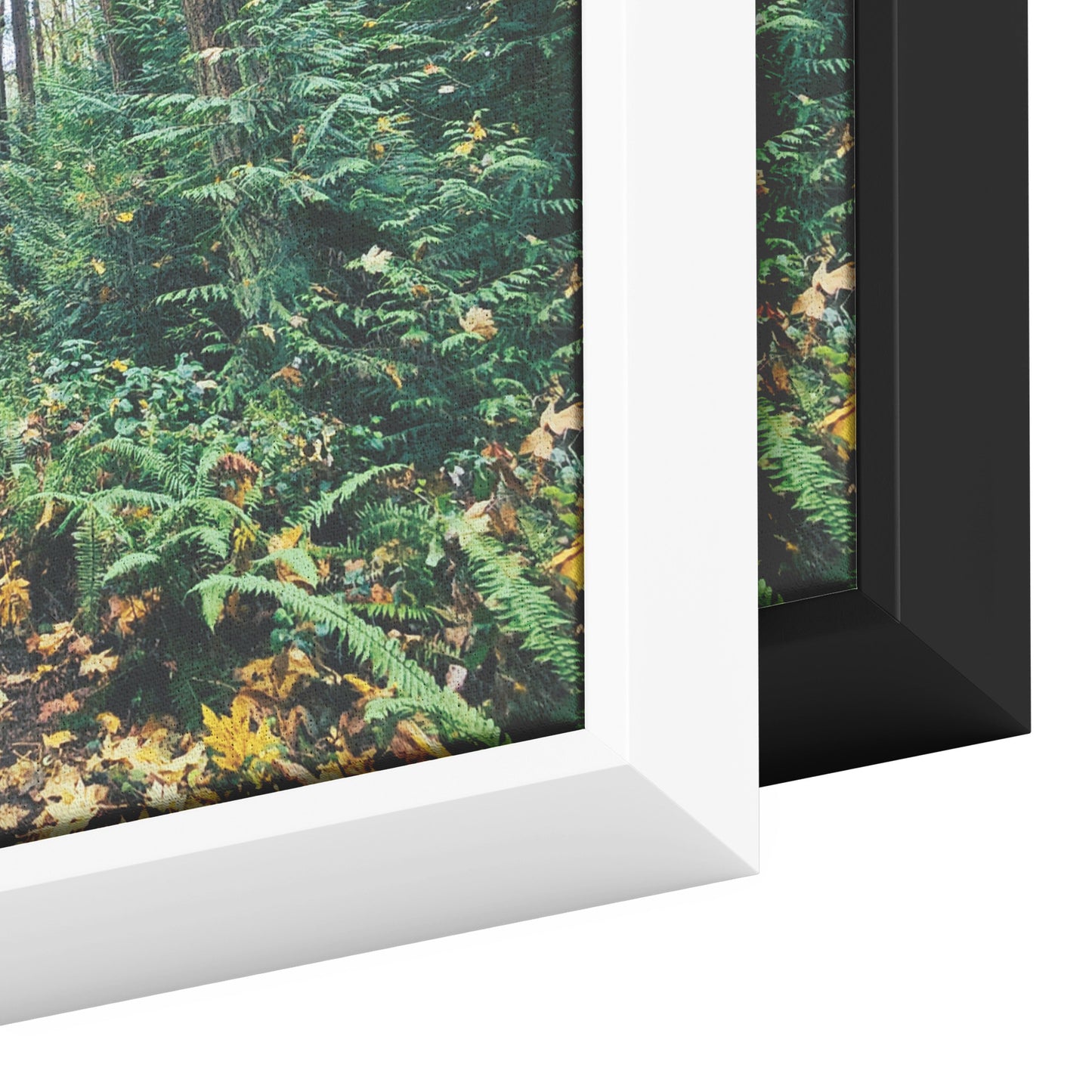 St. Edwards Trail Framed Canvas