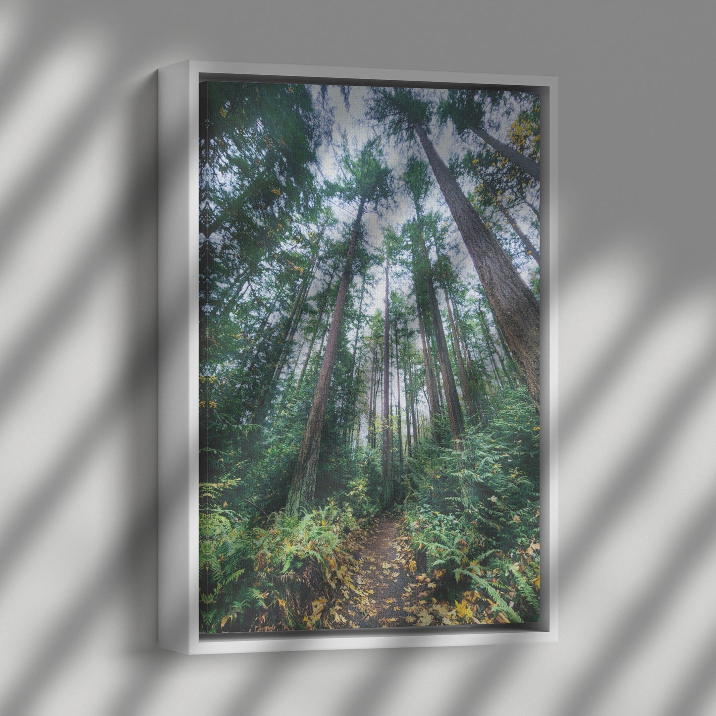 St. Edwards Trail Framed Canvas
