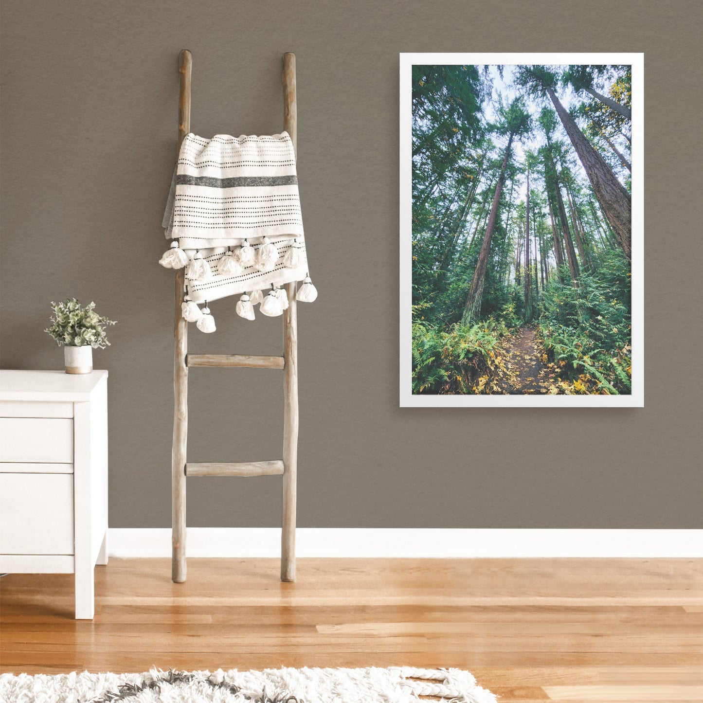 St. Edwards Trail Framed Print
