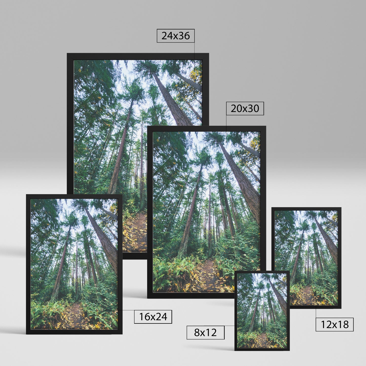 St. Edwards Trail Framed Print