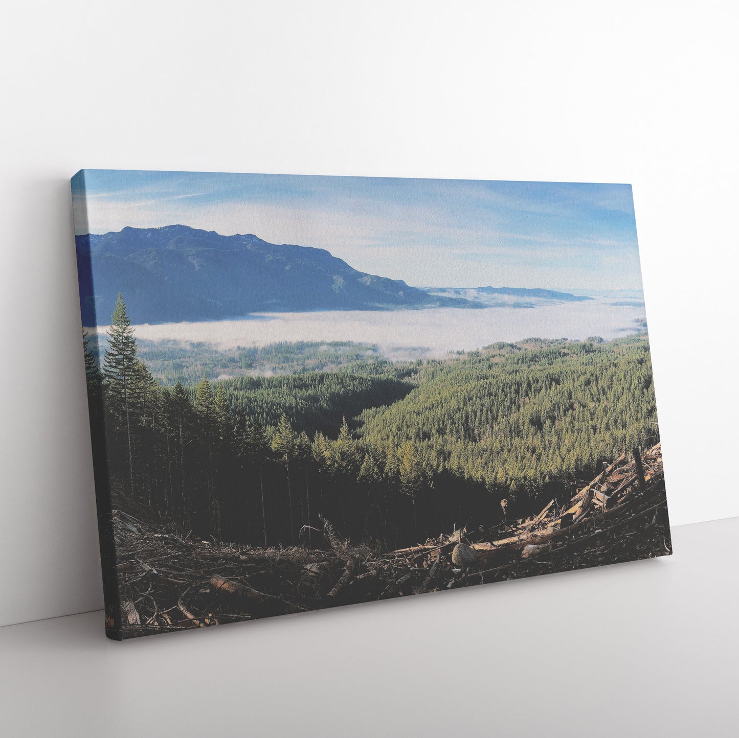 Wallace Falls Clearing Canvas Wrap