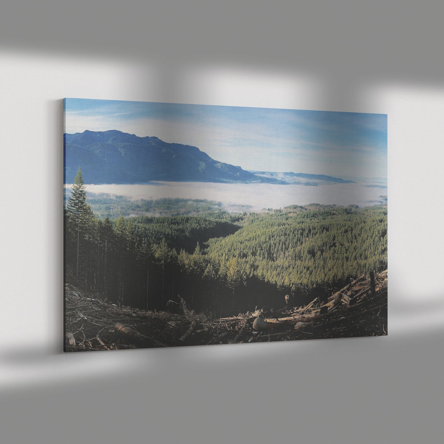 Wallace Falls Clearing Canvas Wrap