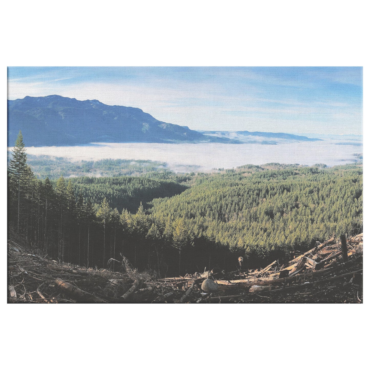 Wallace Falls Clearing Canvas Wrap