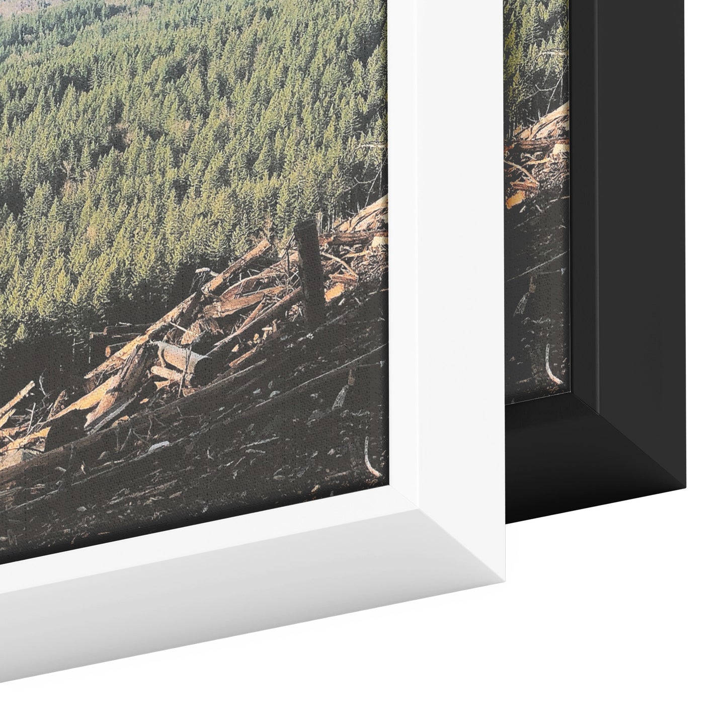 Wallace Falls Clearing Framed Canvas