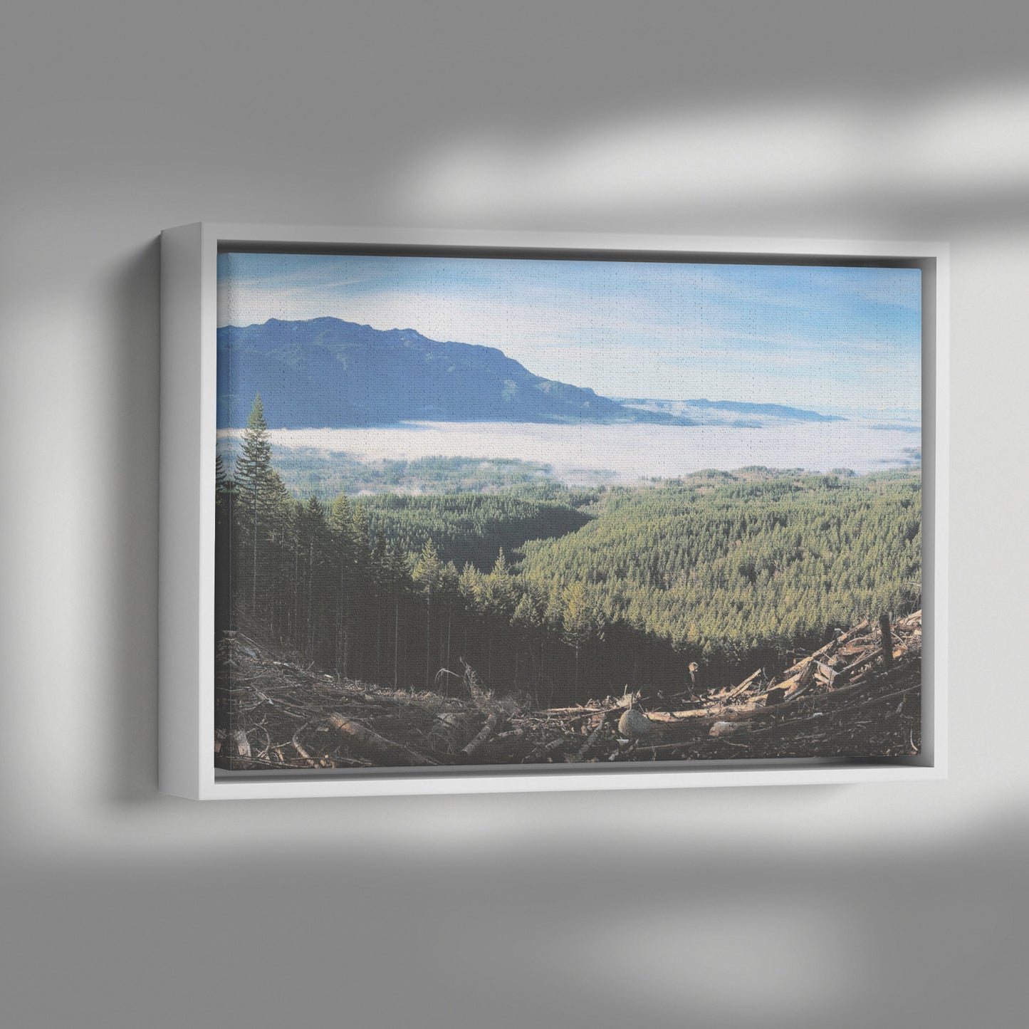 Wallace Falls Clearing Framed Canvas