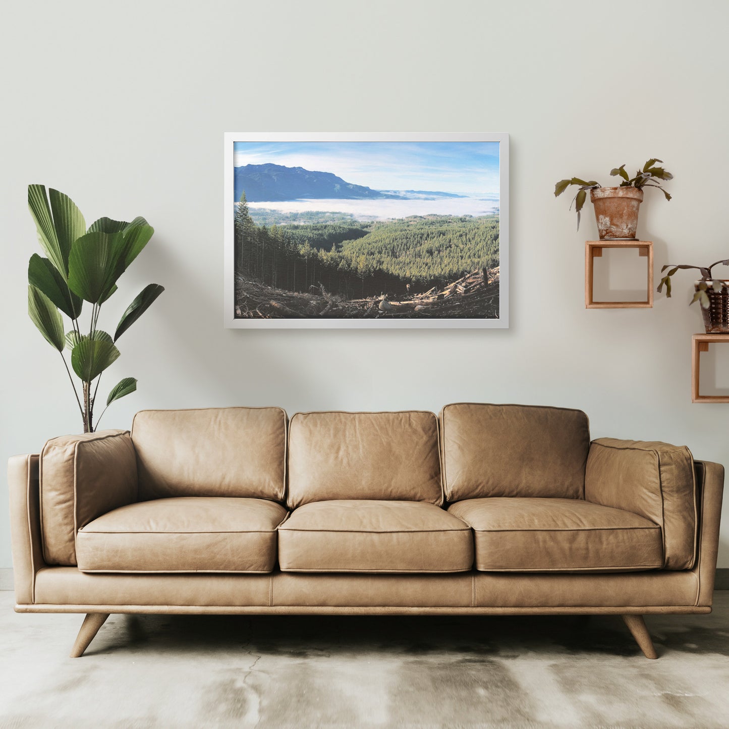 Wallace Falls Clearing Framed Print