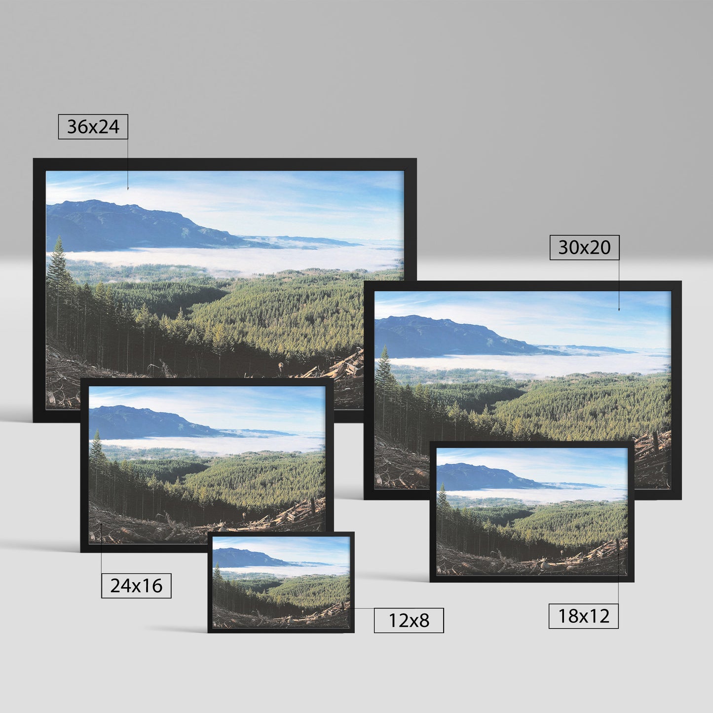 Wallace Falls Clearing Framed Print