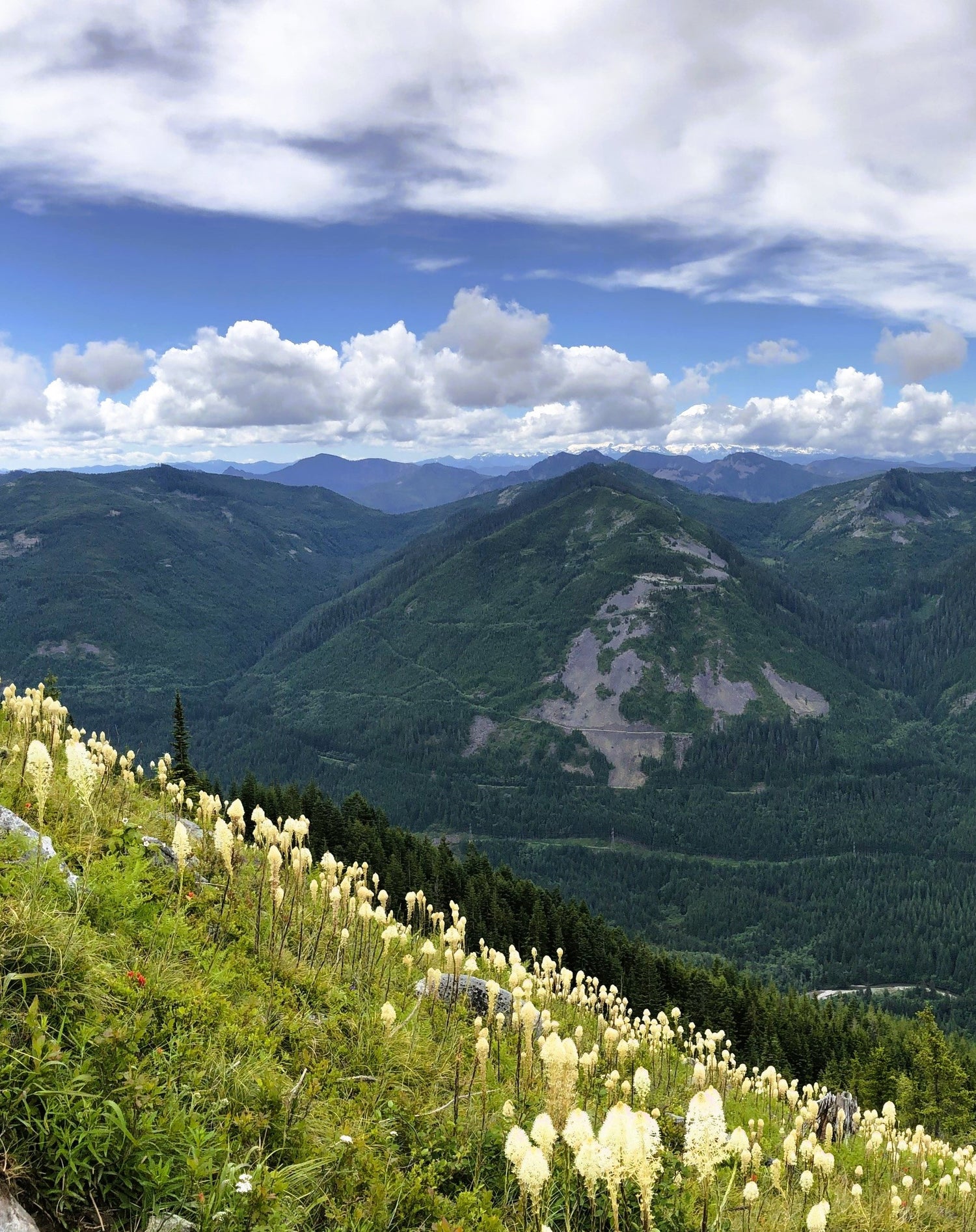 Bandera Mountain