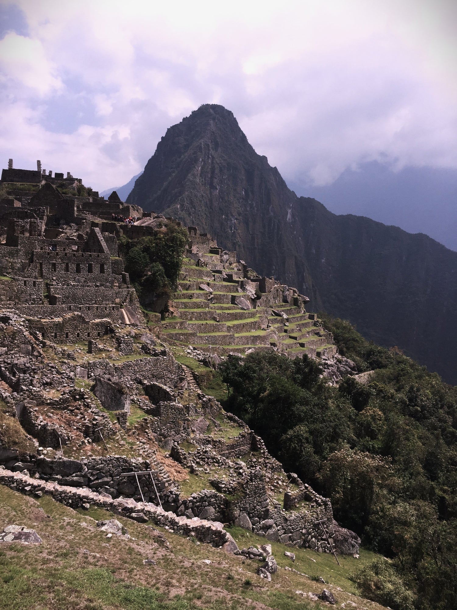 Machu Picchu