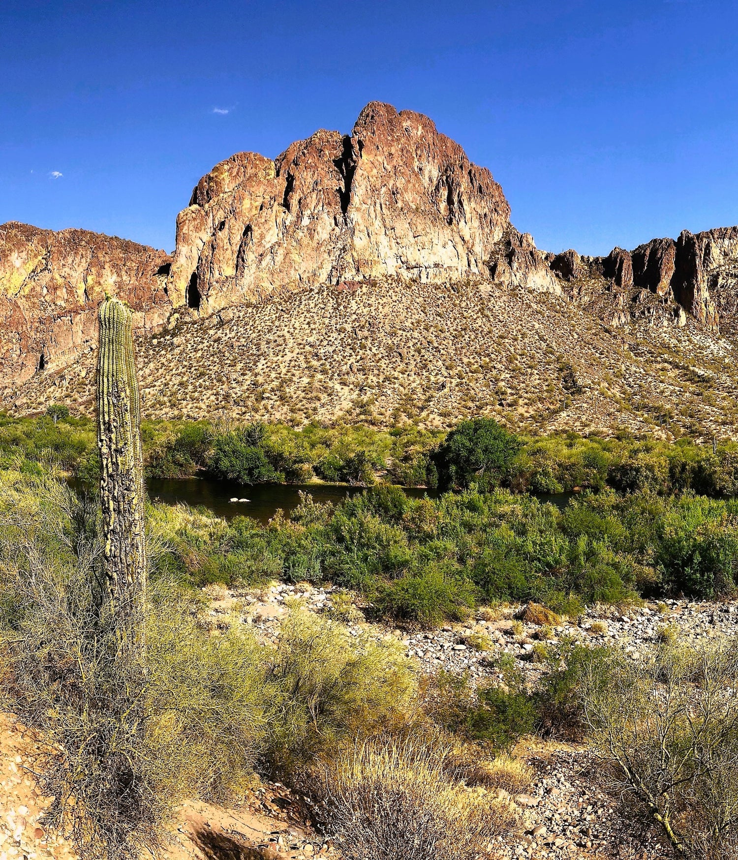 Phoenix Desert