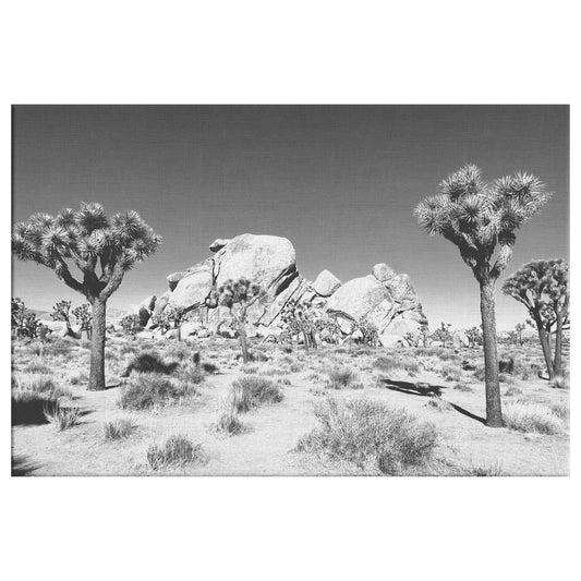 Joshua Tree Canvas Wrap