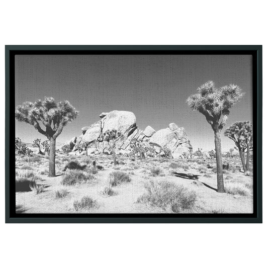 Joshua Tree Framed Canvas