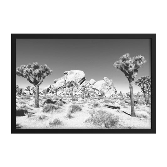 Joshua Tree Framed Print