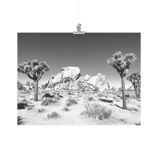 Joshua Tree Poster 18x24