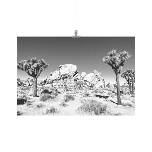 Joshua Tree Poster 24x36