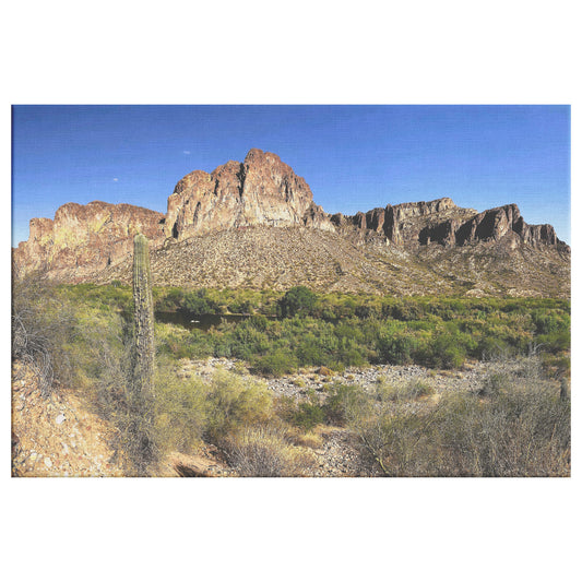 Phoenix Desert Canvas Wrap