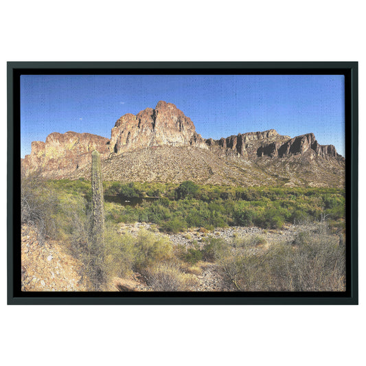 Phoenix Desert Framed Canvas