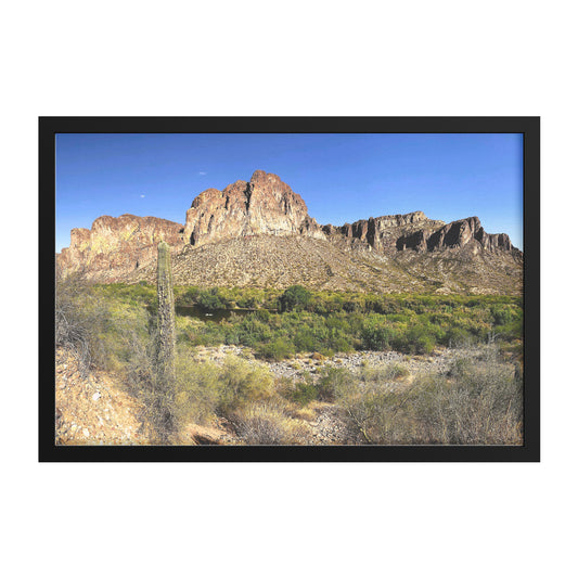 Phoenix Desert Framed Print