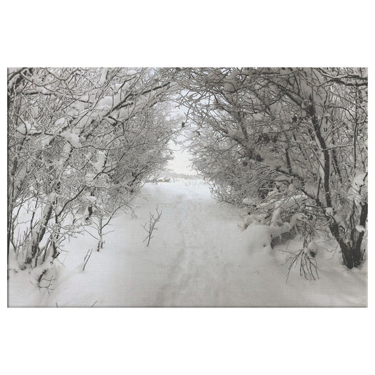 Pullman Snow Canvas Wrap